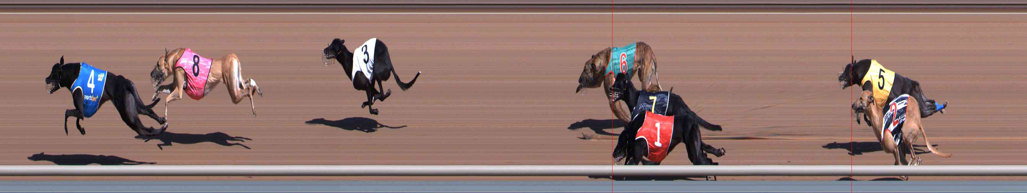 Photo finish for Healesville Race 2