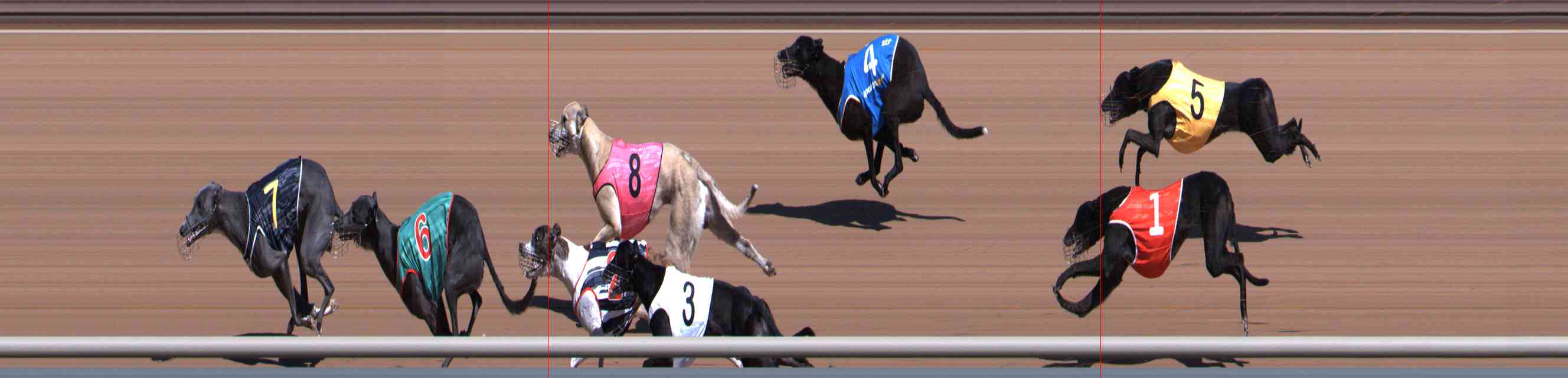 Photo finish for Healesville Race 3