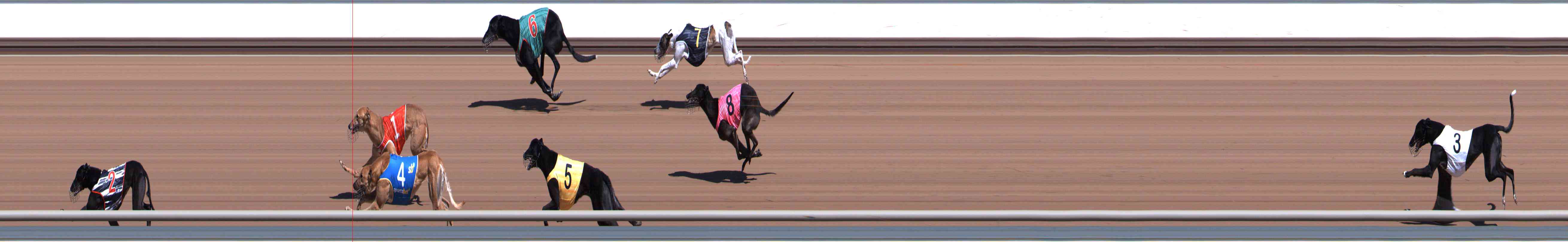 Photo finish for Healesville Race 4