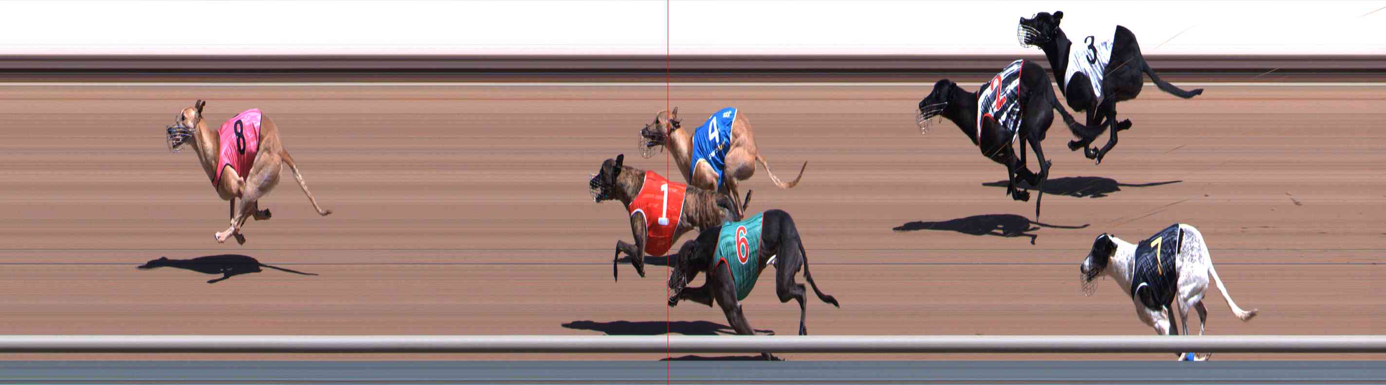 Photo finish for Healesville Race 5