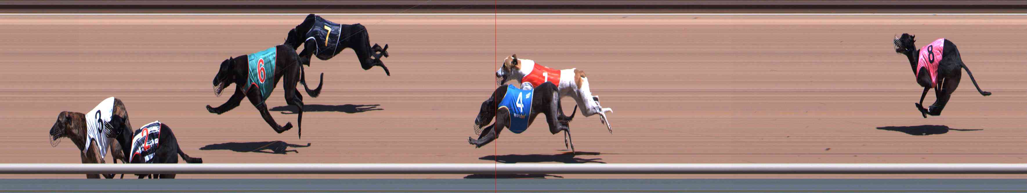 Photo finish for Healesville Race 6