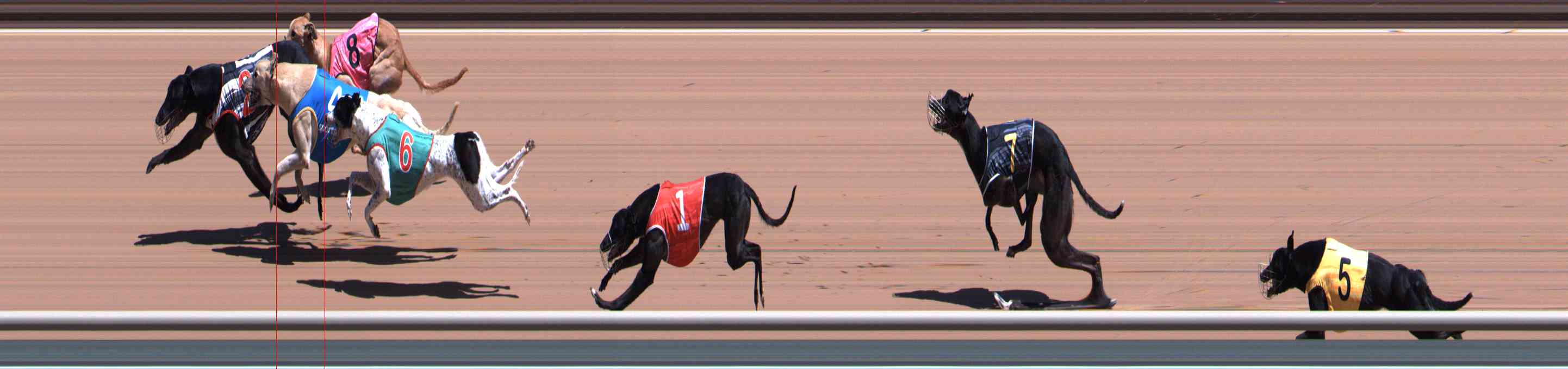 Photo finish for Healesville Race 7