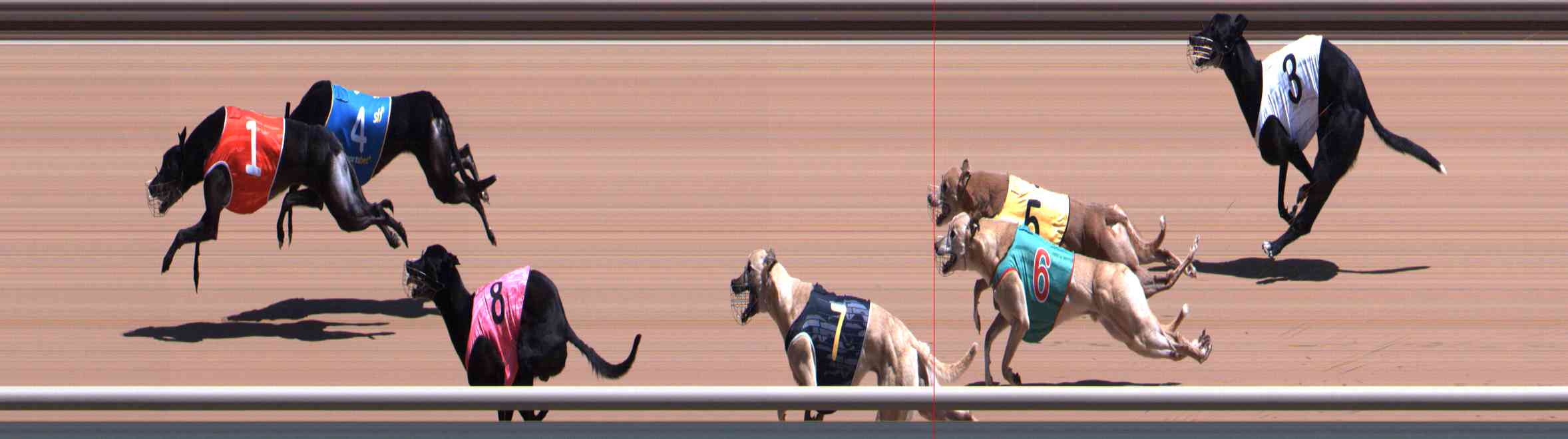 Photo finish for Healesville Race 8