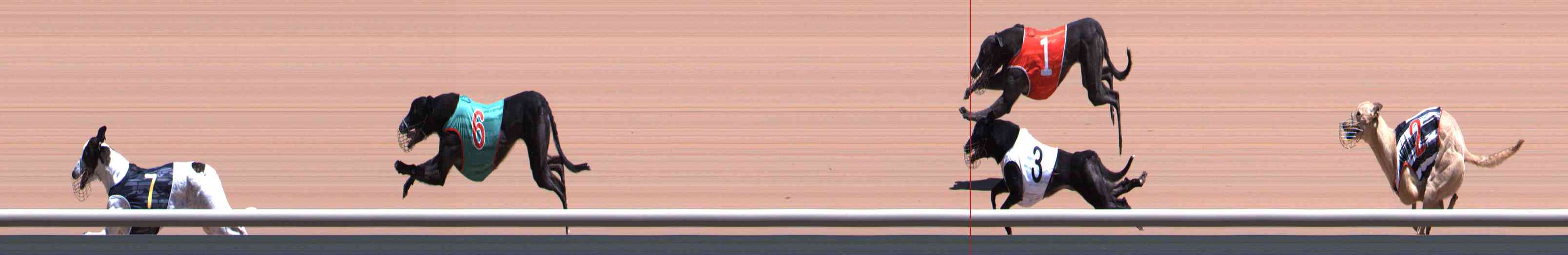 Photo finish for Healesville Race 9