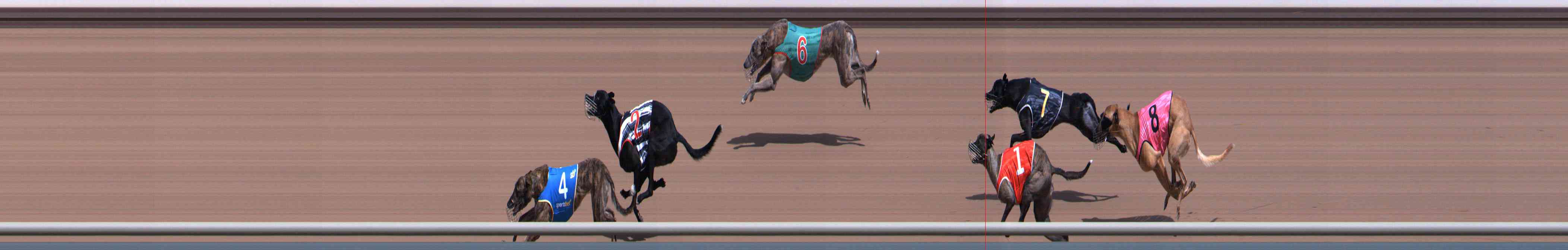 Photo finish for Healesville Race 2