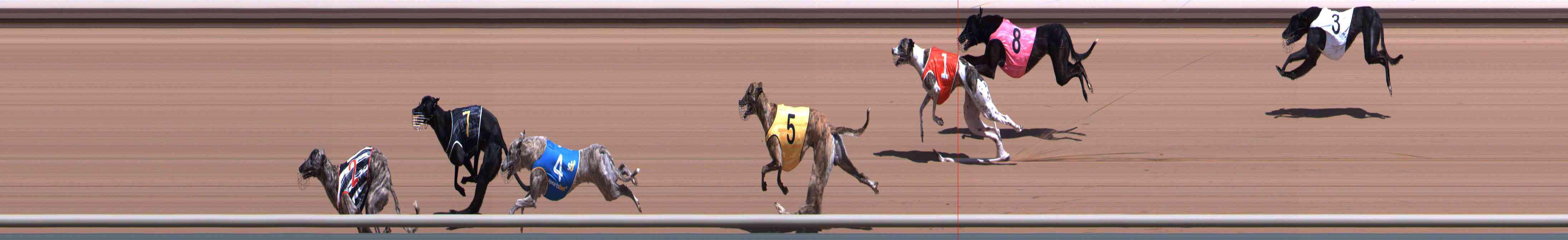 Photo finish for Healesville Race 3