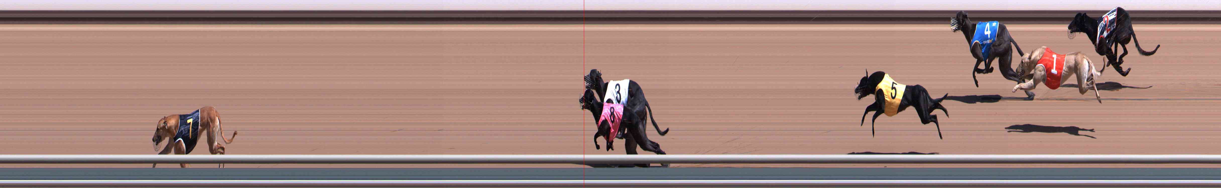 Photo finish for Healesville Race 4