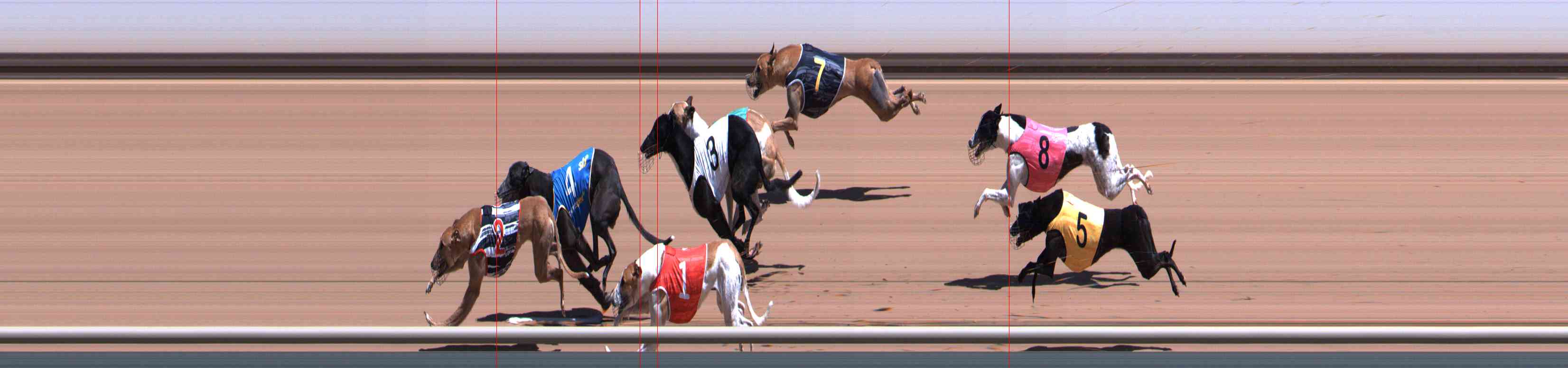 Photo finish for Healesville Race 5