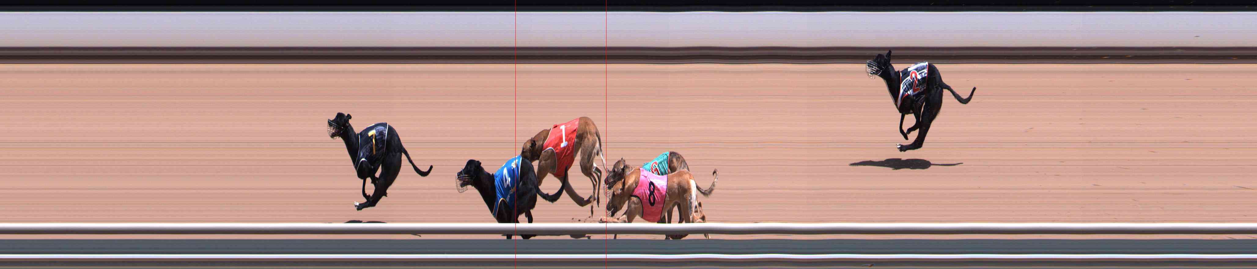 Photo finish for Healesville Race 6