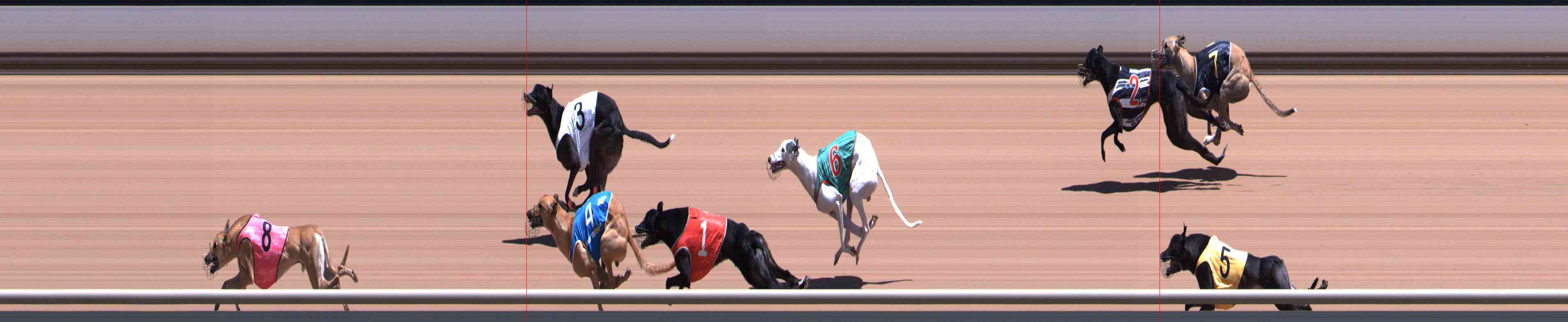 Photo finish for Healesville Race 7