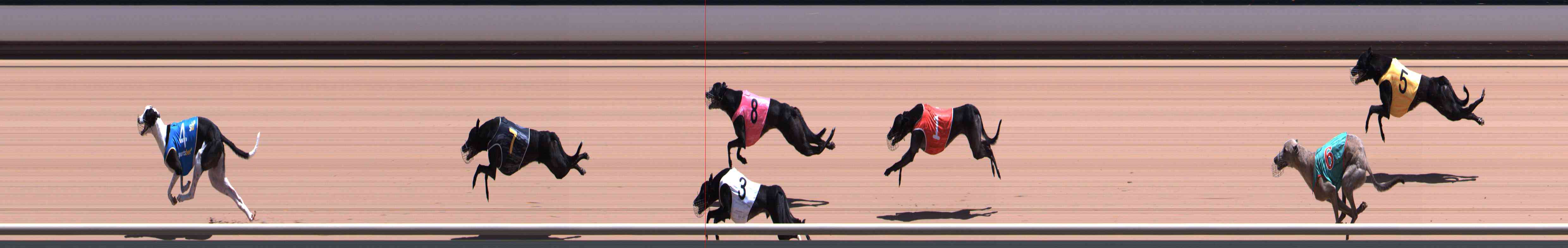Photo finish for Healesville Race 8