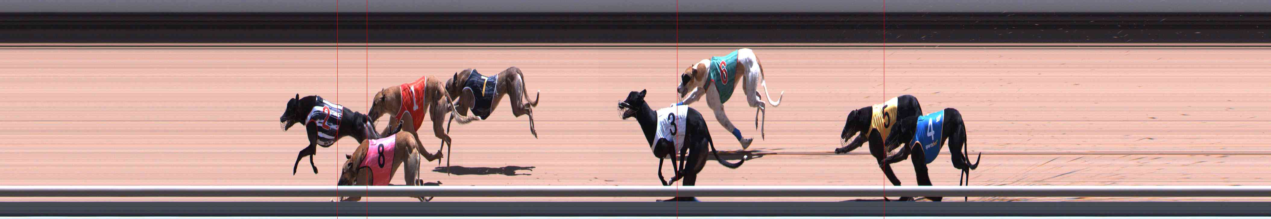 Photo finish for Healesville Race 10