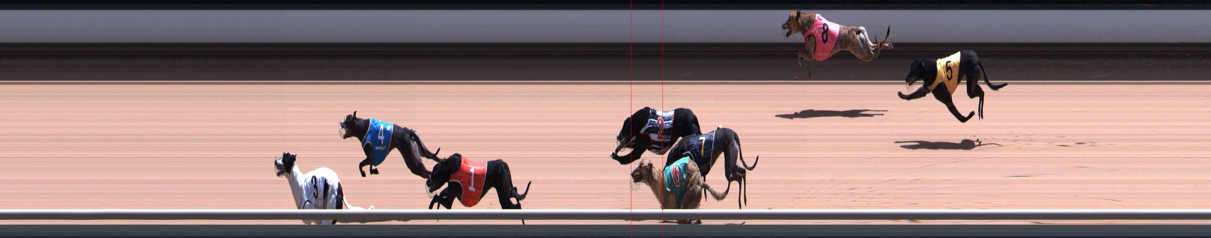 Photo finish for Healesville Race 11