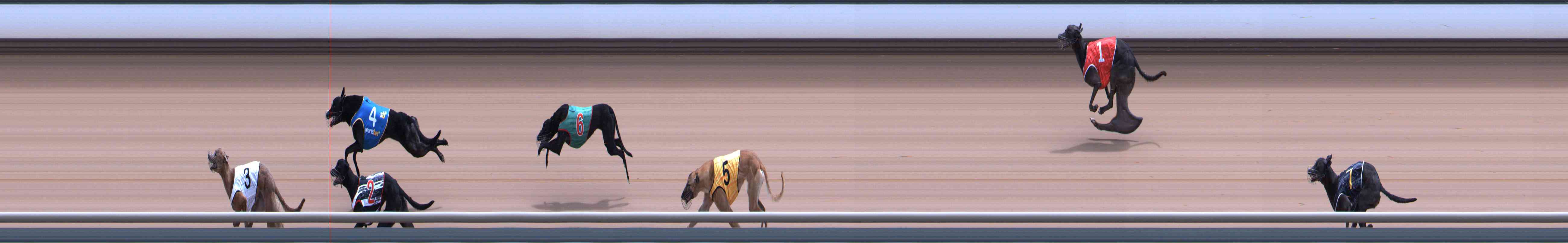 Photo finish for Healesville Race 12