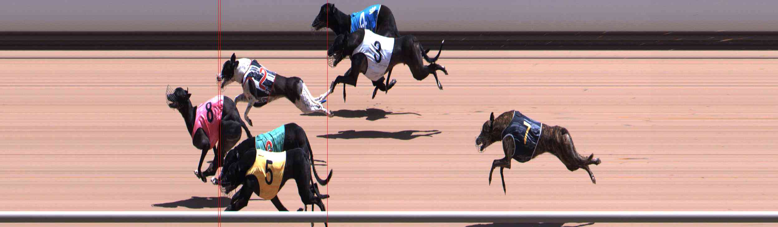 Photo finish for Healesville Race 10