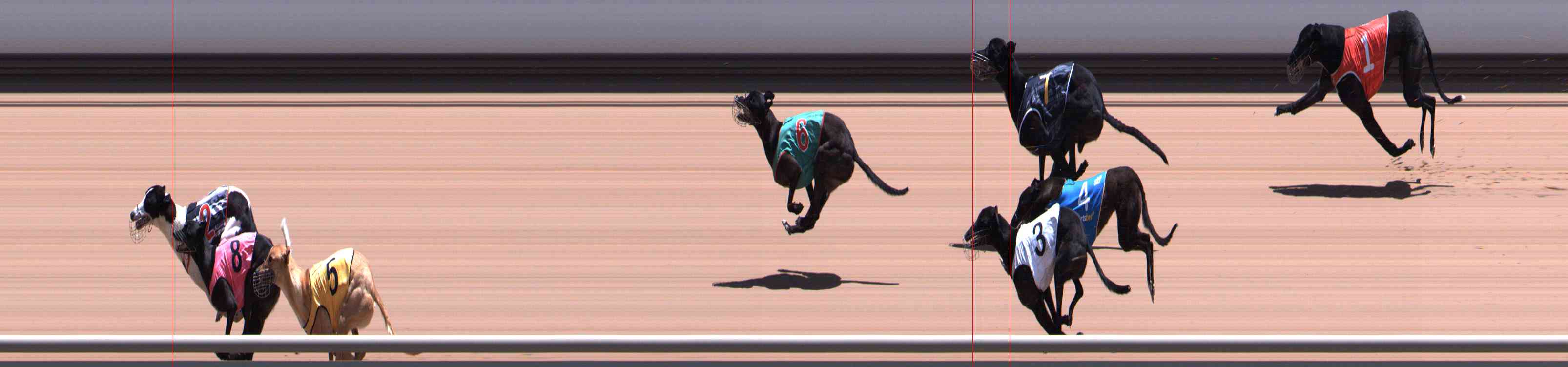 Photo finish for Healesville Race 11