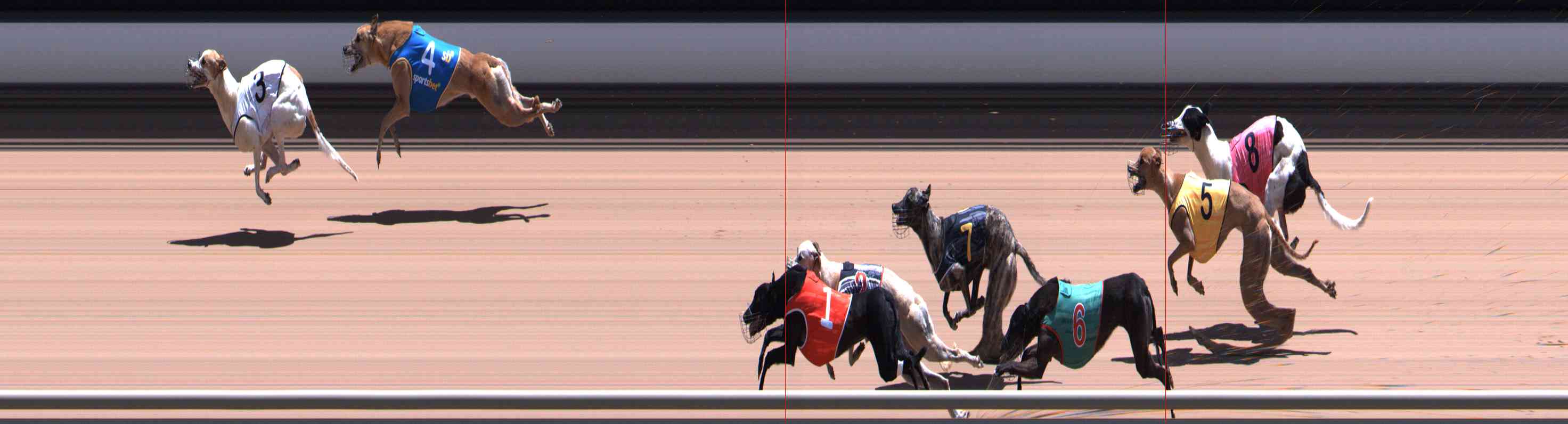 Photo finish for Healesville Race 12