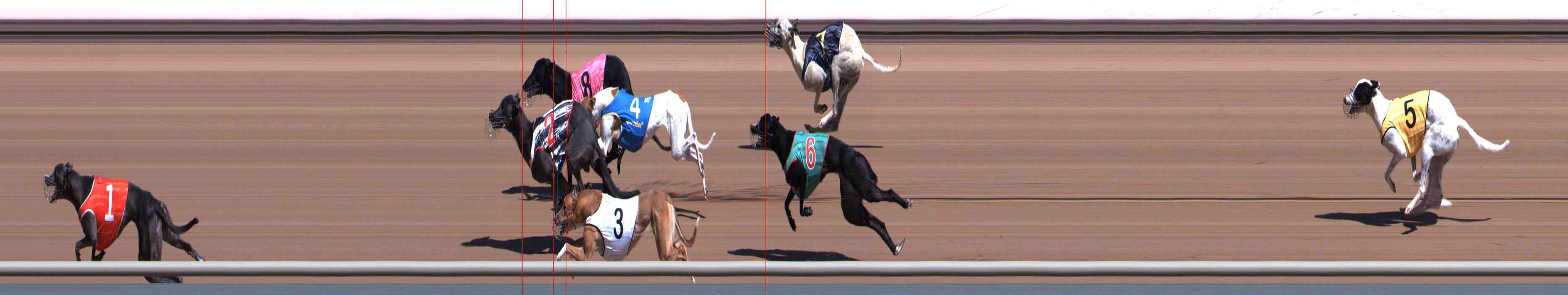 Photo finish for Healesville Race 3