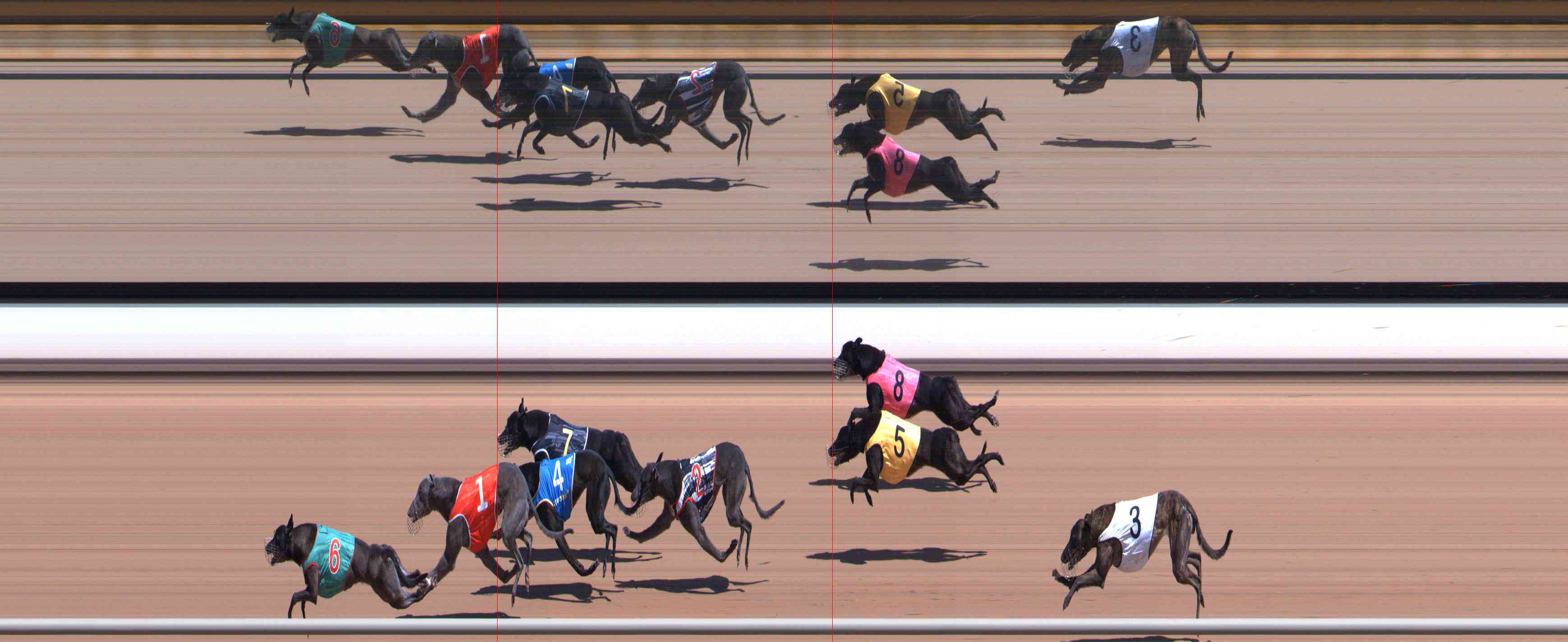 Photo finish for Healesville Race 4