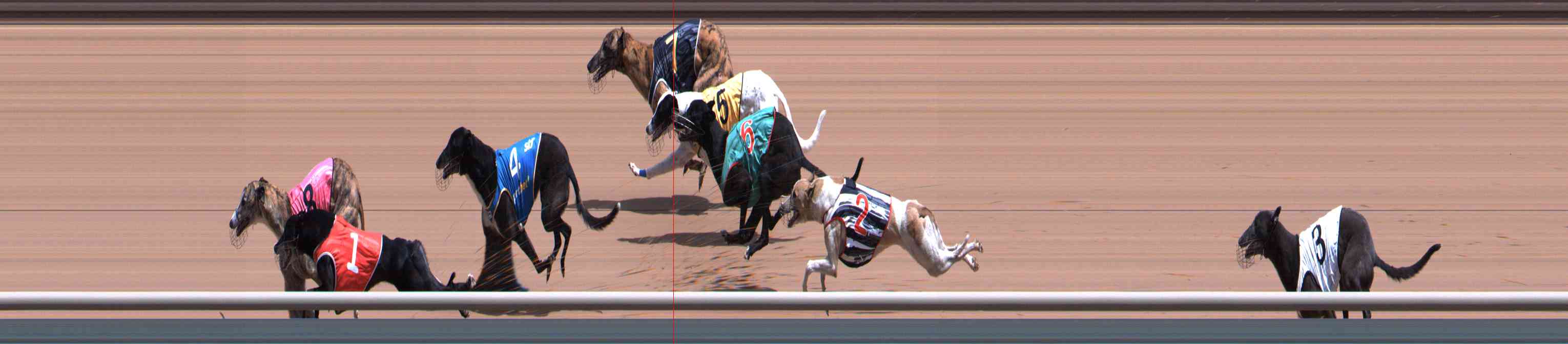 Photo finish for Healesville Race 6