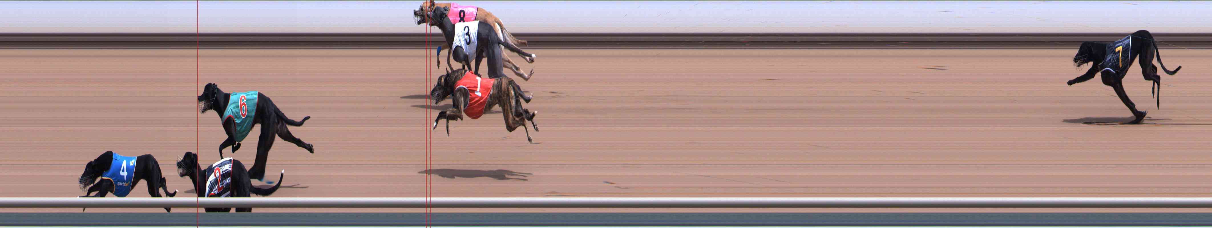Photo finish for Healesville Race 7