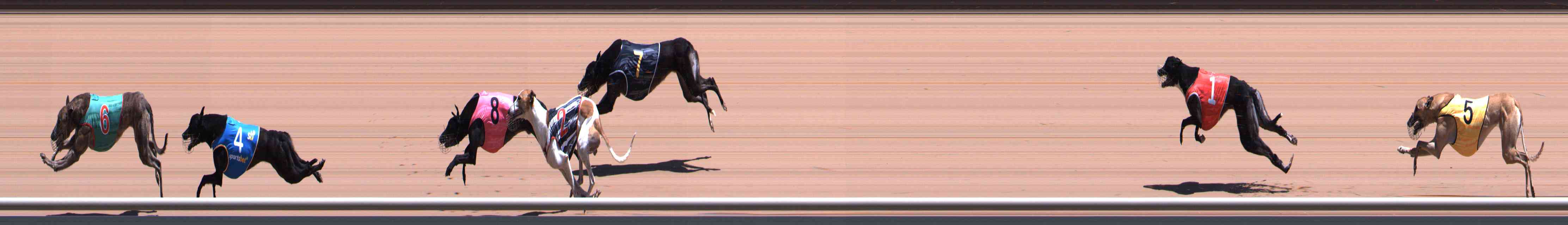 Photo finish for Healesville Race 9
