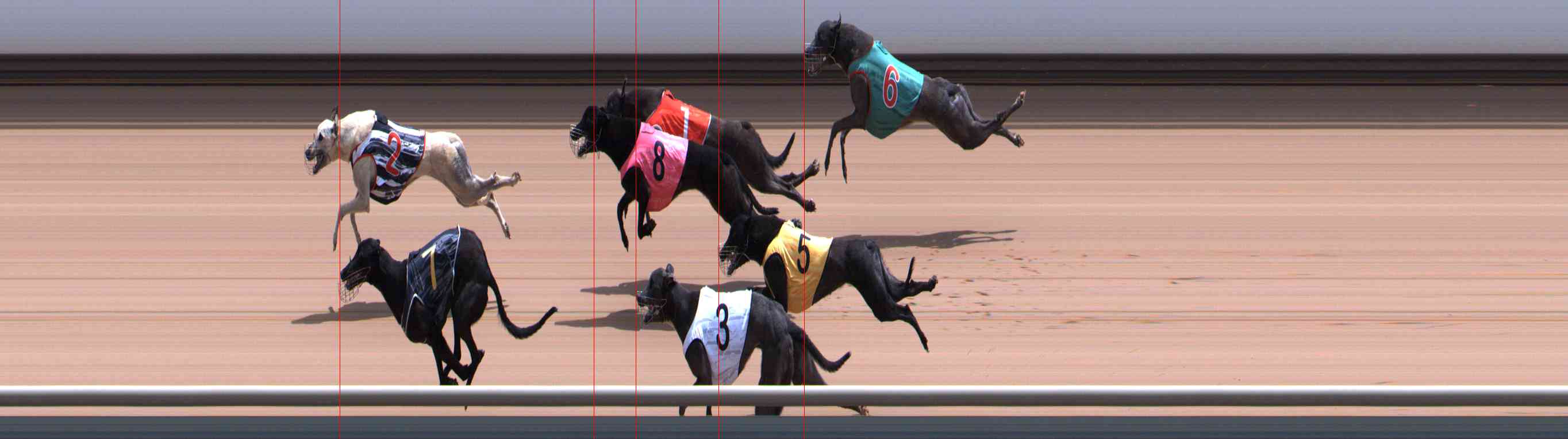 Photo finish for Healesville Race 10