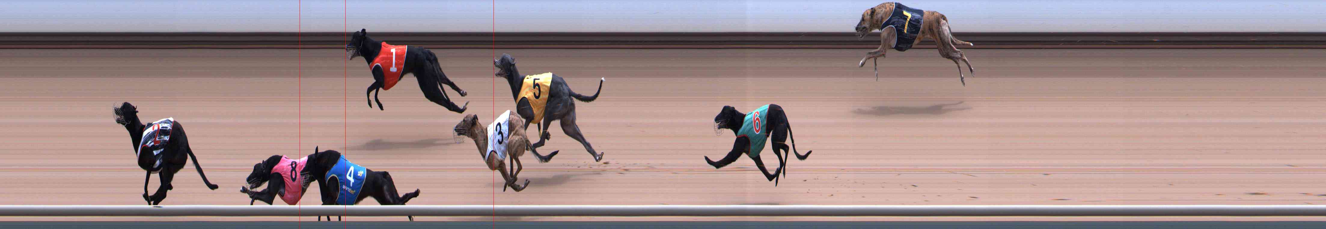 Photo finish for Healesville Race 11