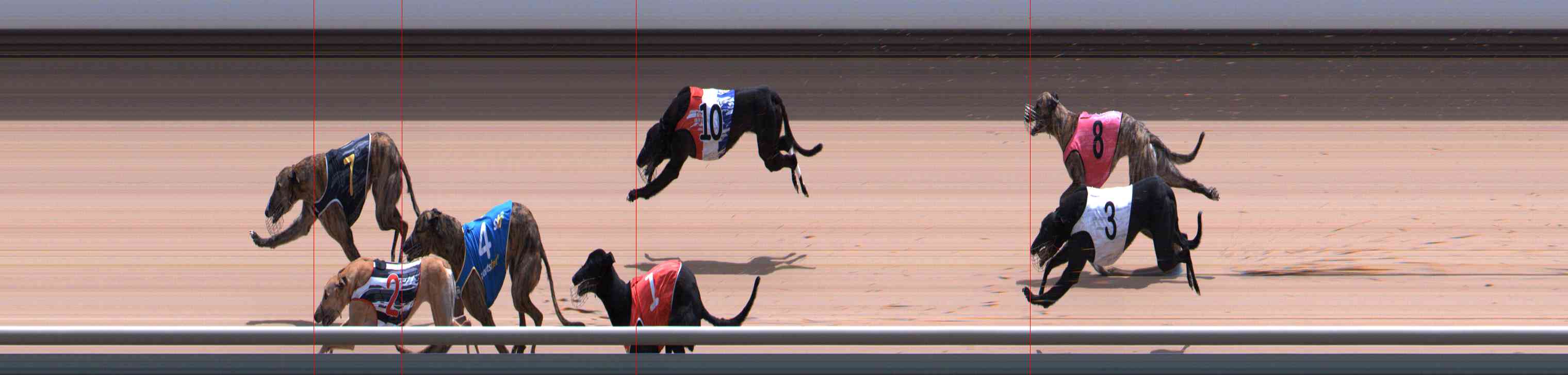 Photo finish for Healesville Race 12