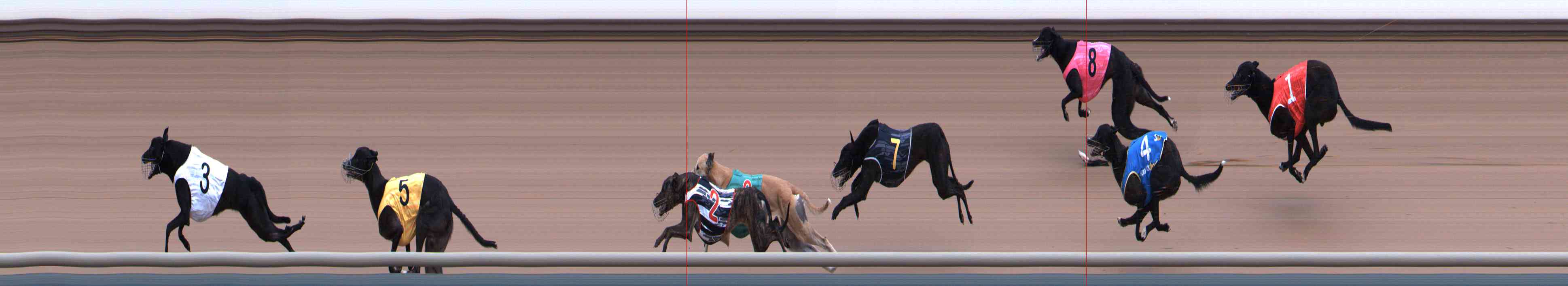 Photo finish for Healesville Race 2