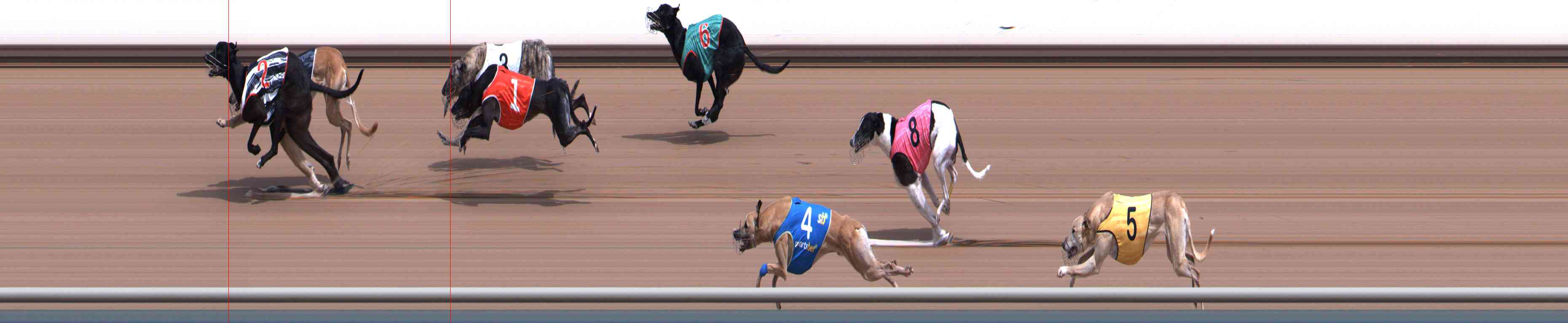 Photo finish for Healesville Race 3