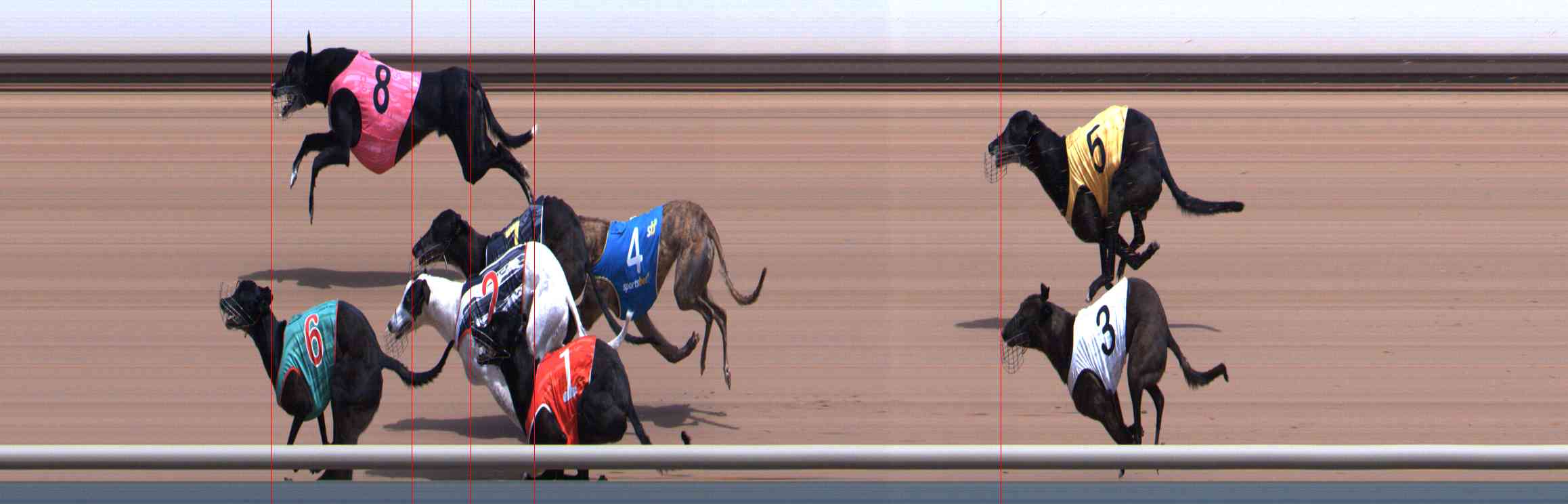 Photo finish for Healesville Race 4