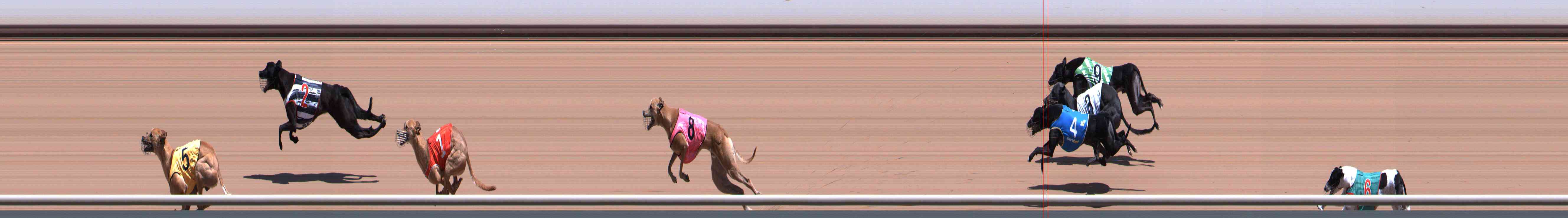Photo finish for Healesville Race 5