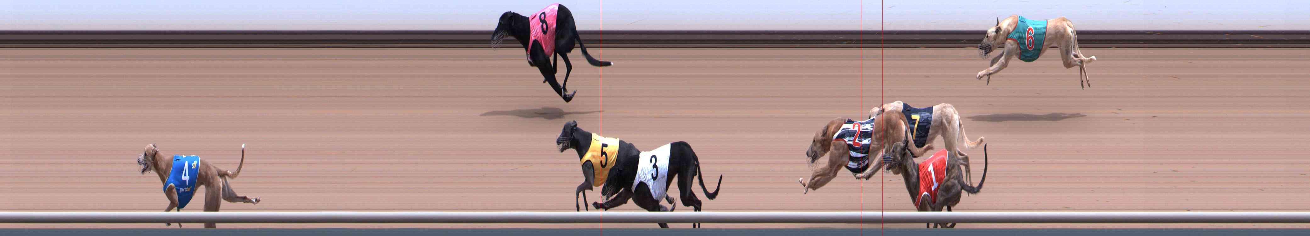 Photo finish for Healesville Race 6