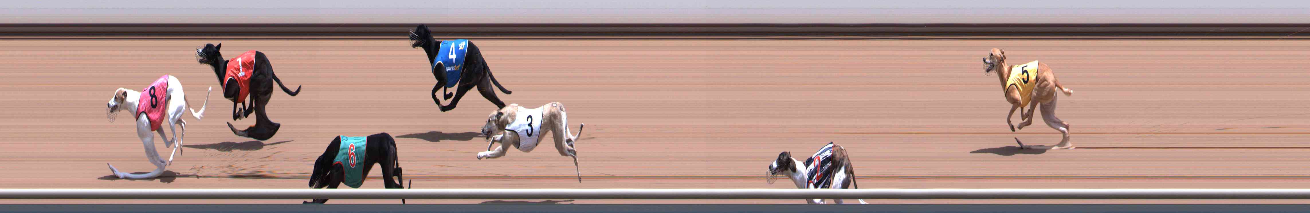 Photo finish for Healesville Race 7