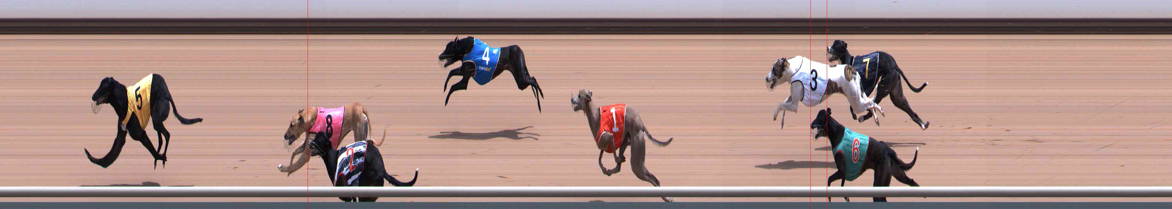 Photo finish for Healesville Race 8