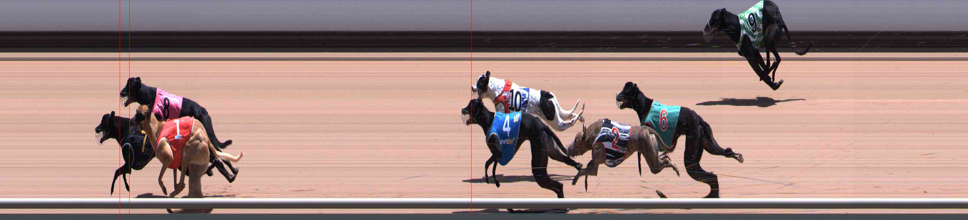 Photo finish for Healesville Race 9