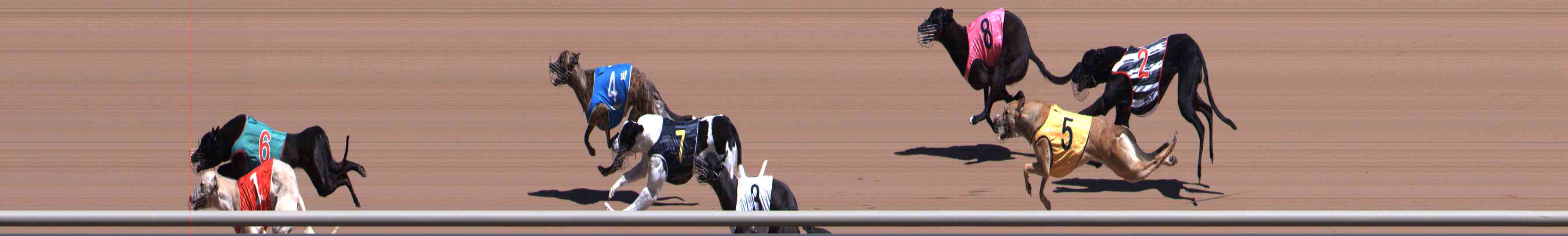 Photo finish for Healesville Race 1