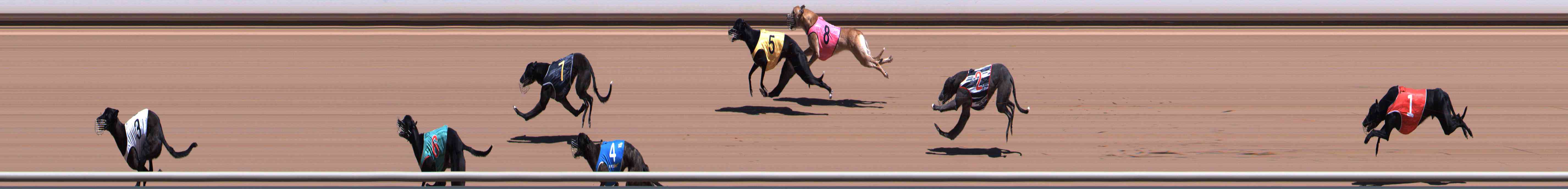 Photo finish for Healesville Race 2