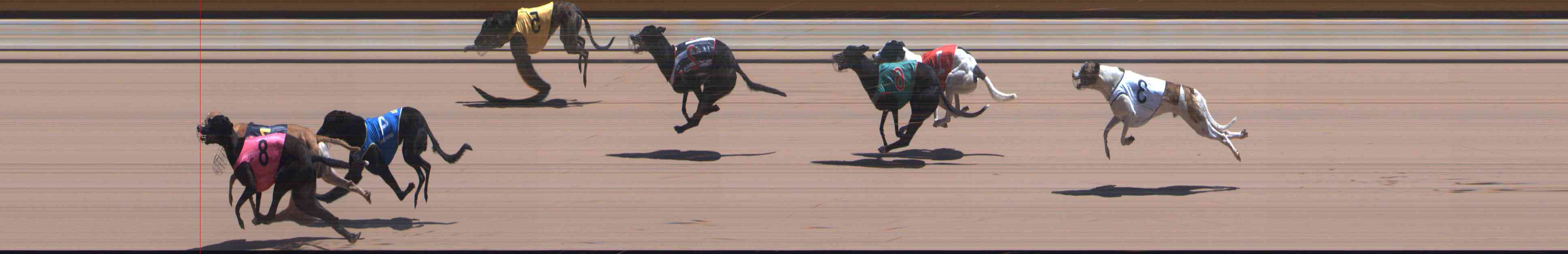 Photo finish for Healesville Race 3