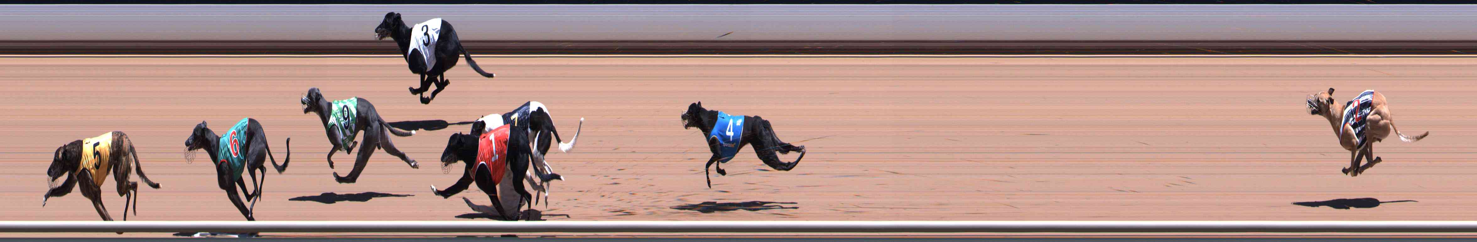 Photo finish for Healesville Race 4