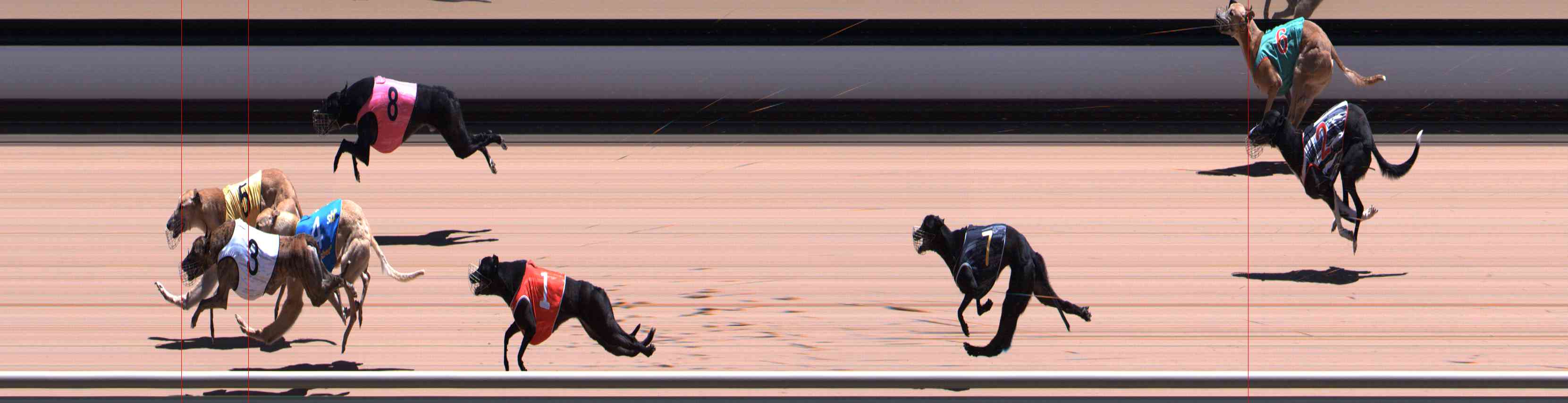 Photo finish for Healesville Race 7