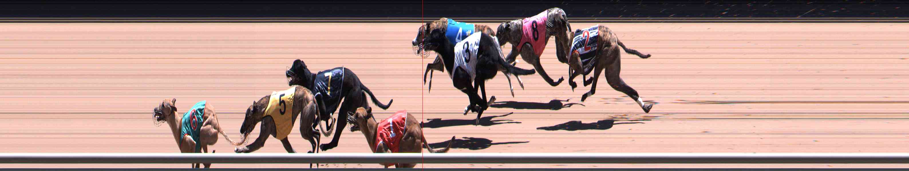 Photo finish for Healesville Race 8
