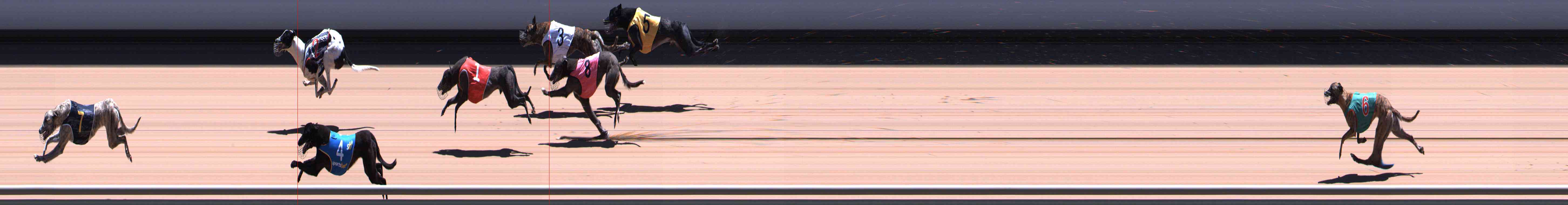 Photo finish for Healesville Race 9
