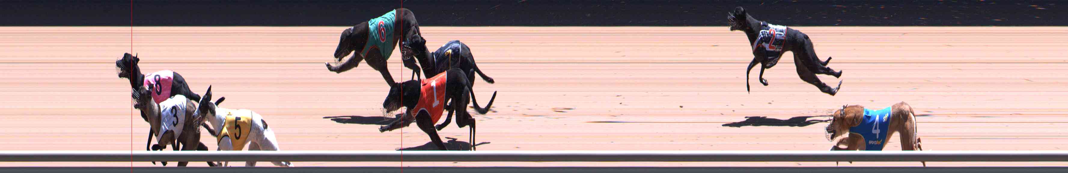 Photo finish for Healesville Race 10