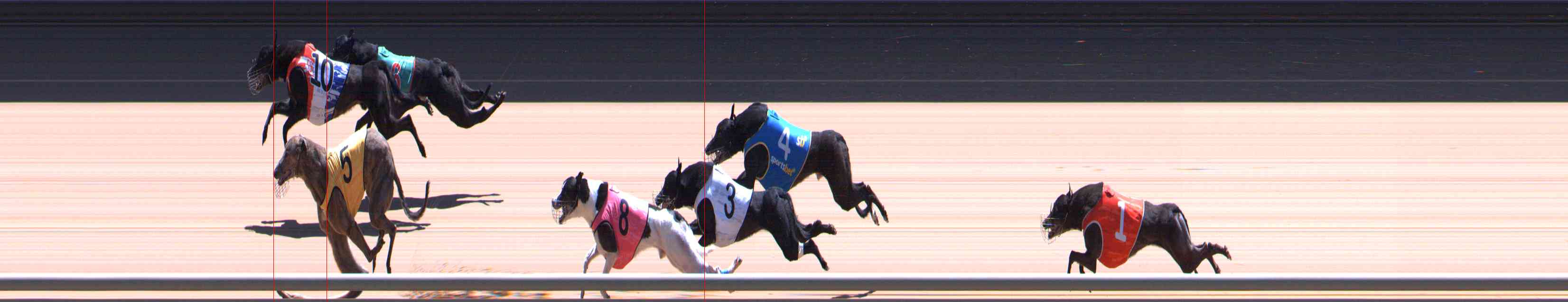 Photo finish for Healesville Race 12