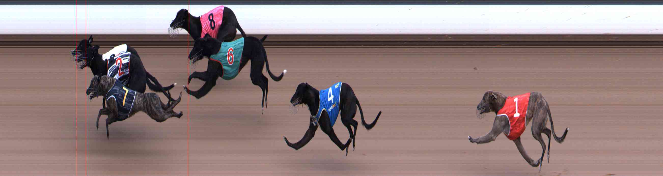 Photo finish for Healesville Race 1