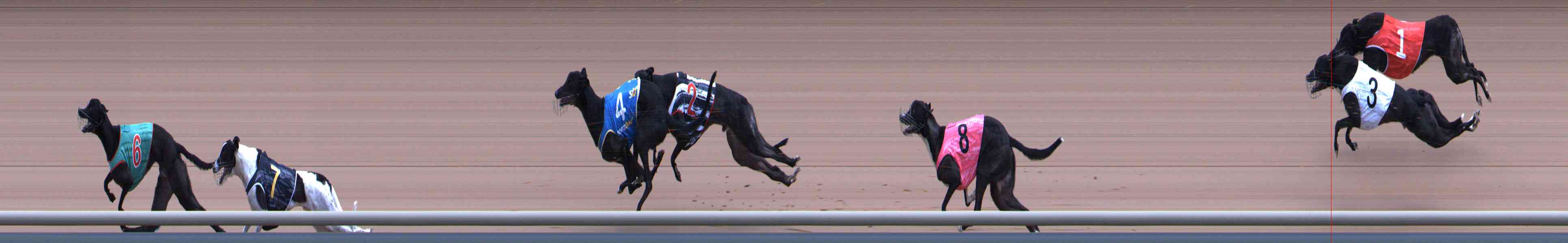 Photo finish for Healesville Race 10