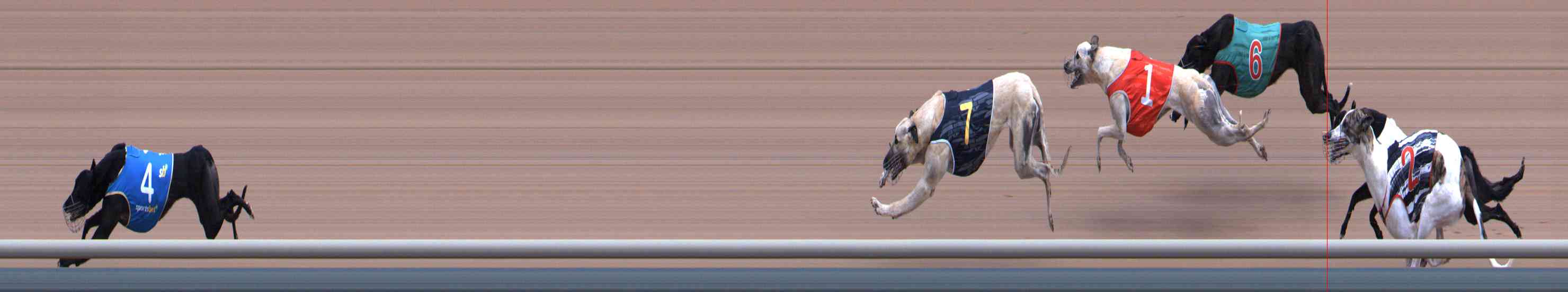 Photo finish for Healesville Race 11