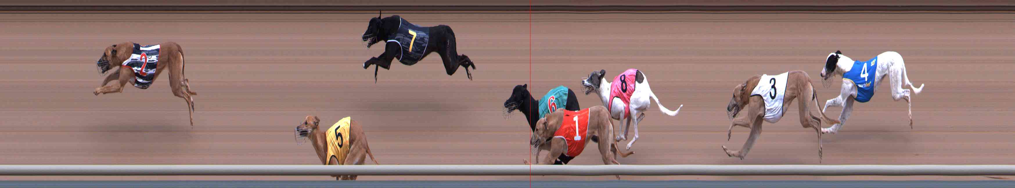 Photo finish for Healesville Race 2